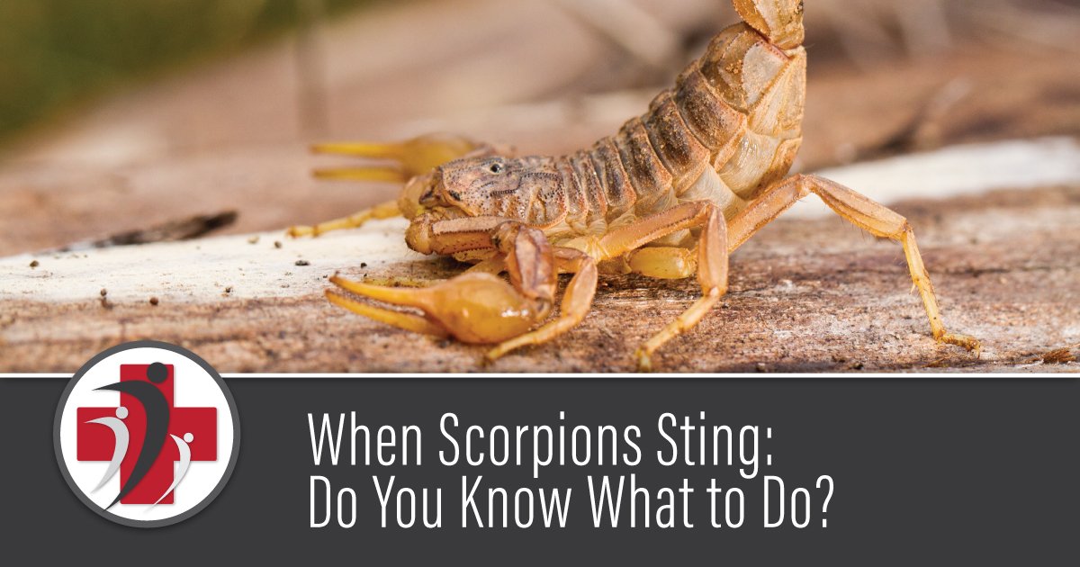 When Scorpions Sting: Do You Know What to Do?
